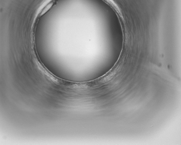 X0000060241384200511111918