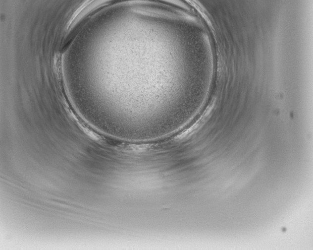 X0000060241385200511111918