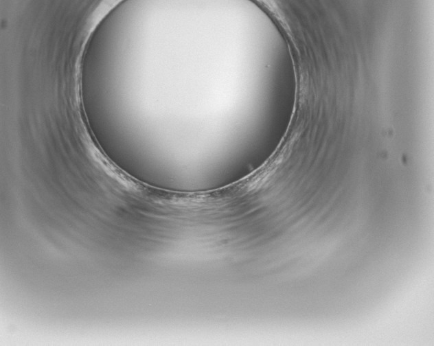 X0000060241386200511111918