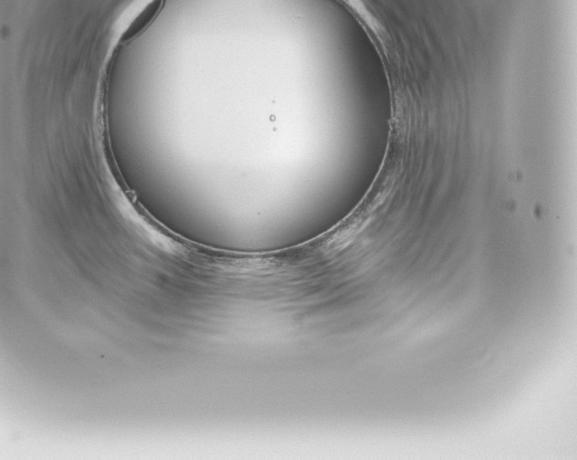 X0000060241387200511111918