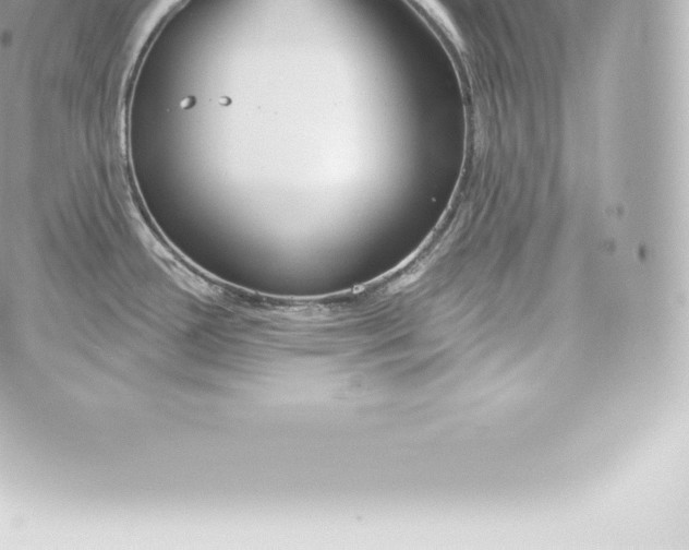 X0000060241388200511111918