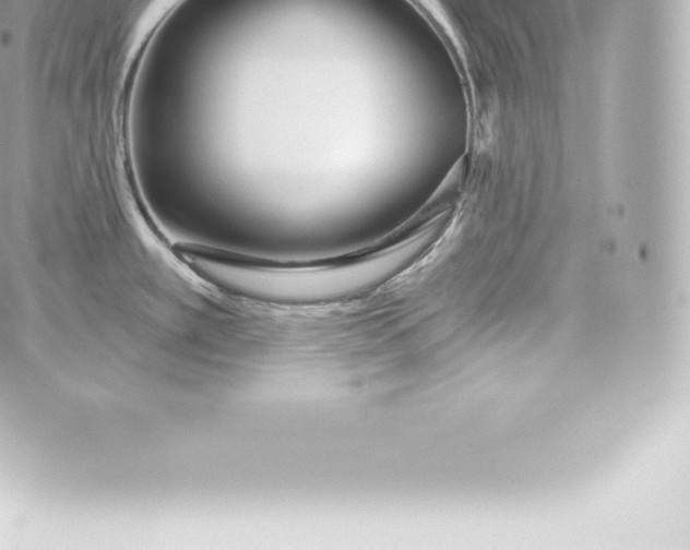 X0000060241389200511111918