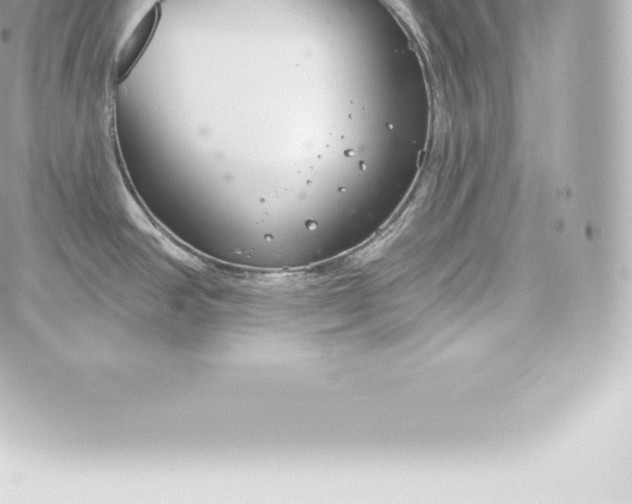 X0000060241390200511111918