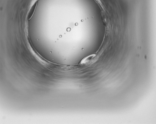 X0000060241391200511111918