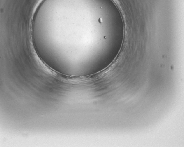 X0000060241392200511111918