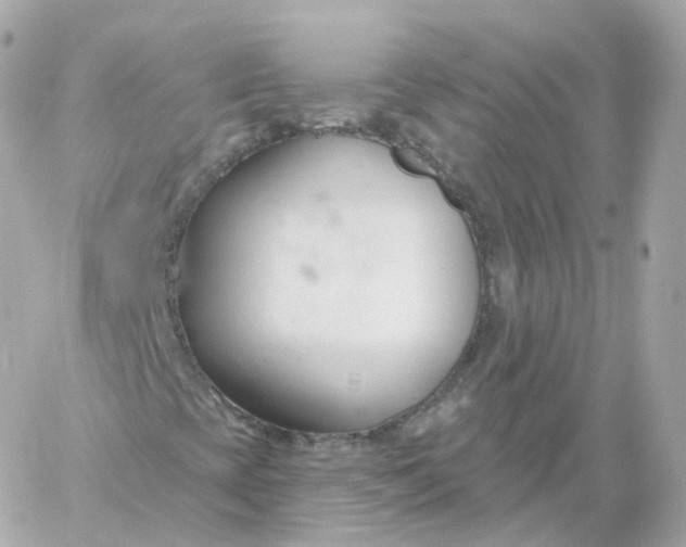 X0000060241393200511111917