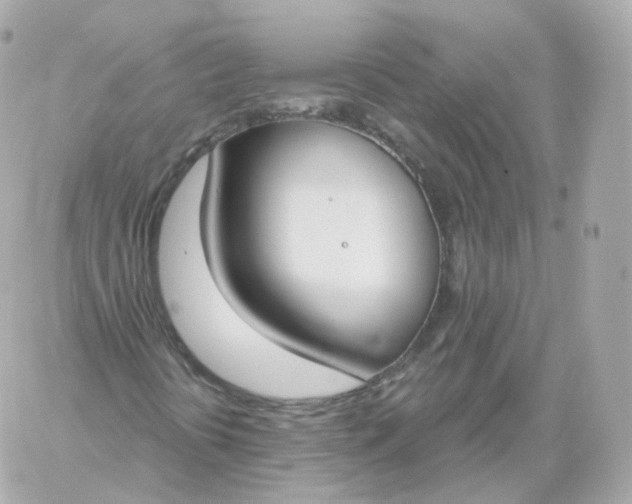 X0000060241394200511111917