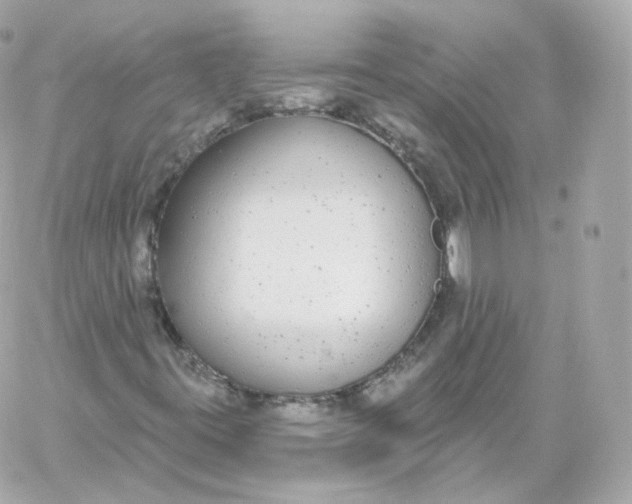 X0000060241395200511111917