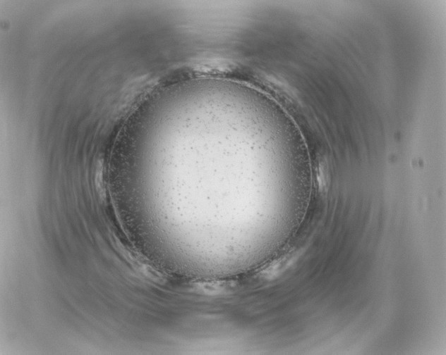 X0000060241396200511111917