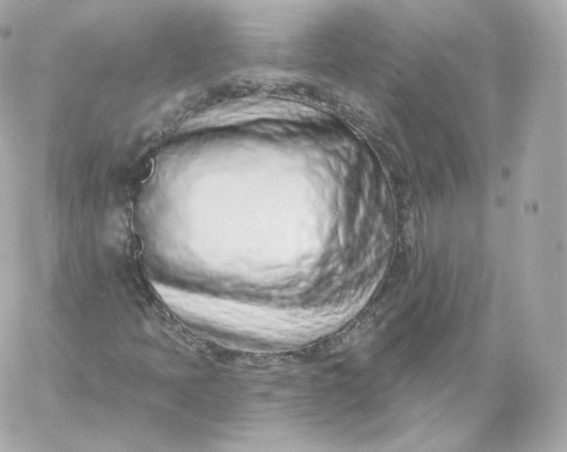 X0000060241397200511111917