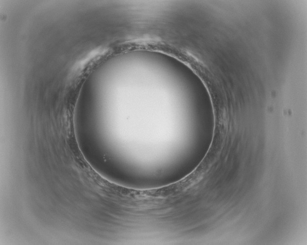 X0000060241398200511111917