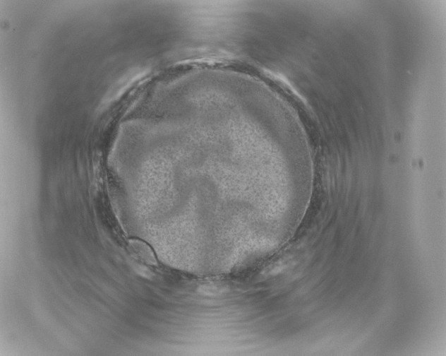 X0000060241399200511111917