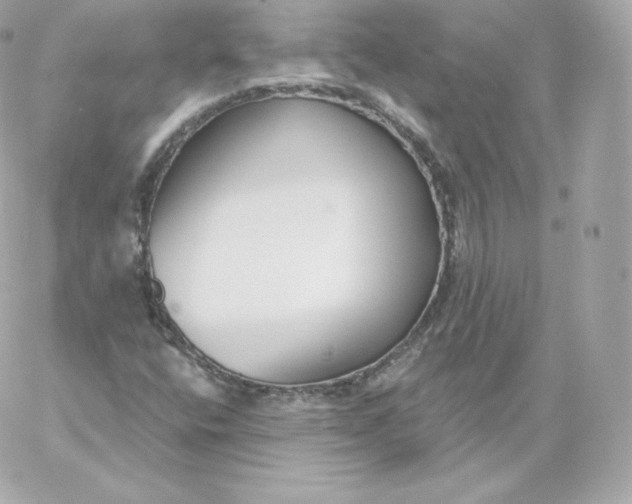 X0000060241400200511111917