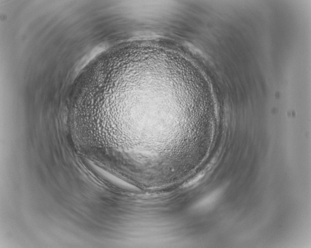 X0000060241401200511111917