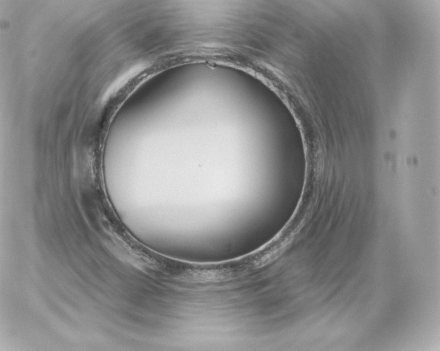 X0000060241402200511111917