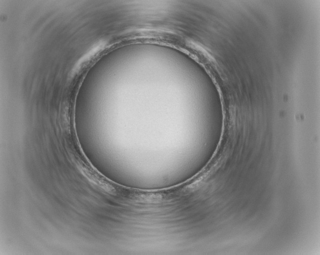 X0000060241403200511111917