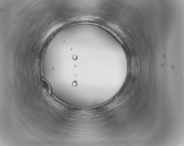 X0000060241404200511111917