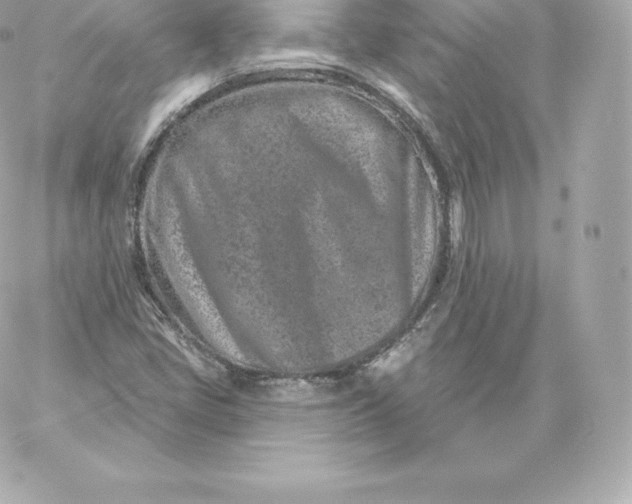 X0000060241405200511111917