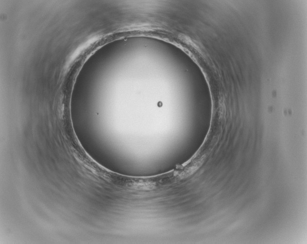 X0000060241406200511111917