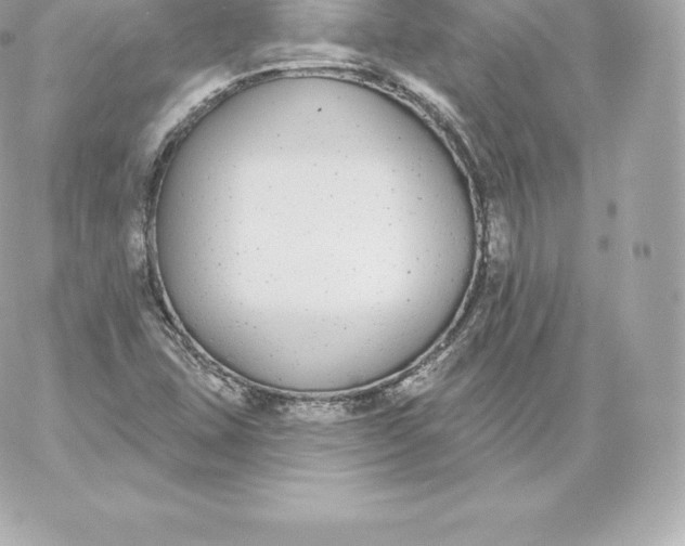 X0000060241407200511111917