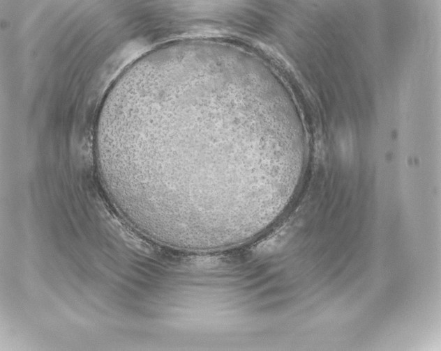 X0000060241409200511111917