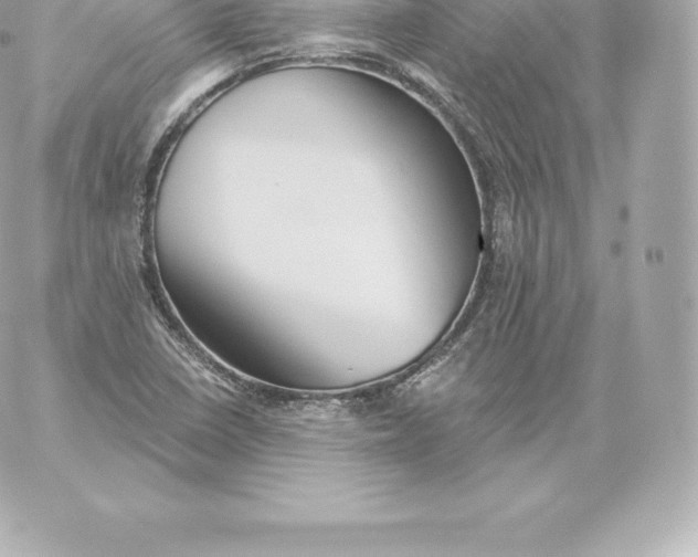 X0000060241410200511111917