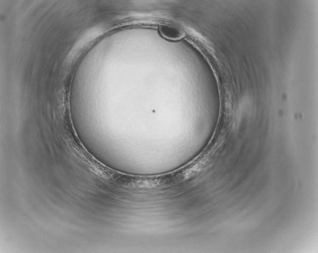 X0000060241411200511111917