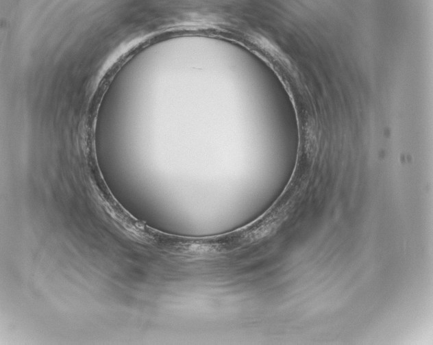 X0000060241412200511111917