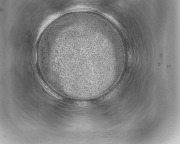 X0000060241413200511111917