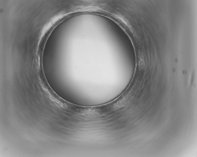 X0000060241414200511111917