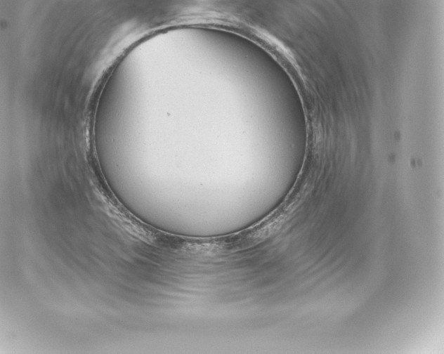 X0000060241415200511111917