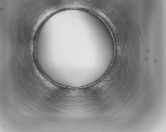 X0000060241416200511111918