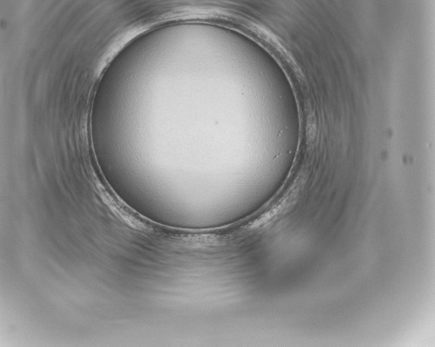 X0000060241417200511111918