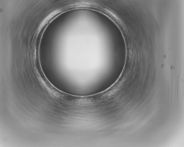 X0000060241418200511111918