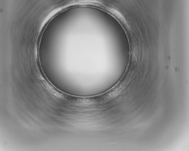 X0000060241420200511111918