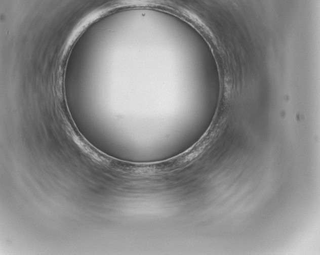 X0000060241421200511111918