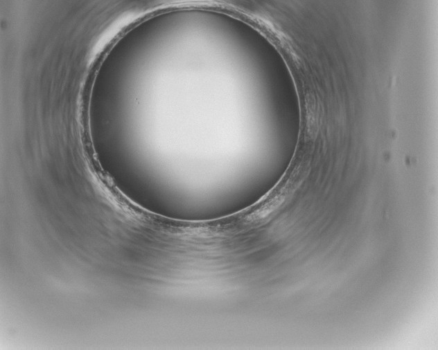 X0000060241422200511111918