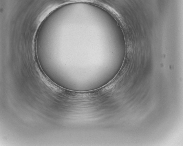 X0000060241423200511111918