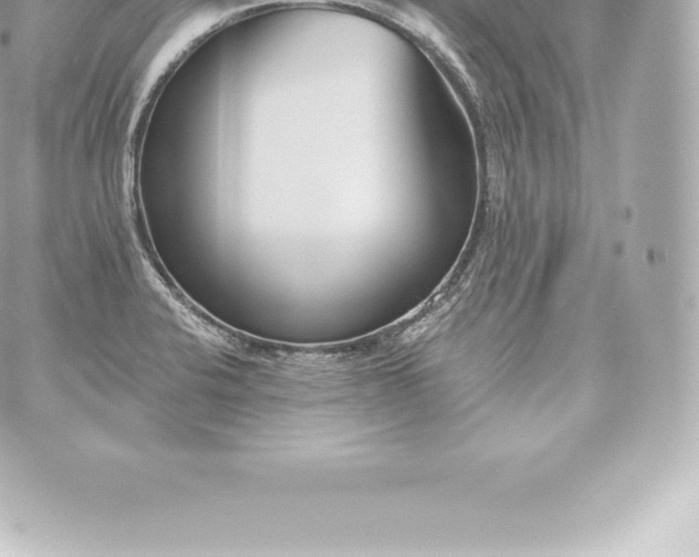 X0000060241424200511111918