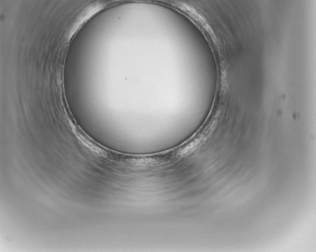 X0000060241425200511111918