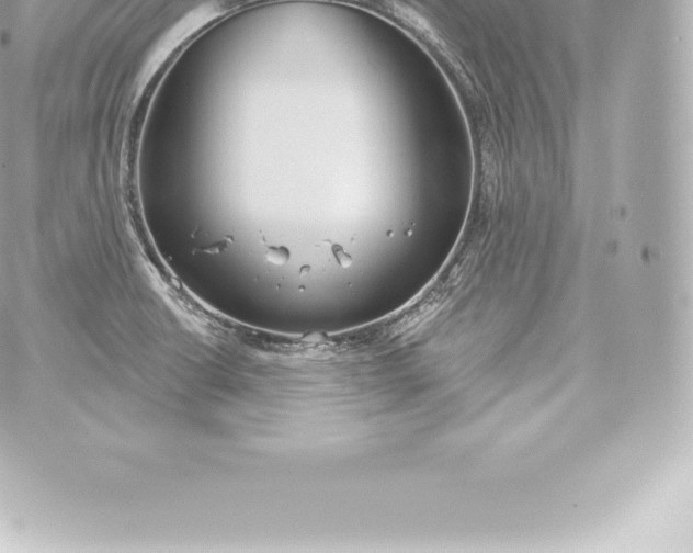 X0000060241426200511111918