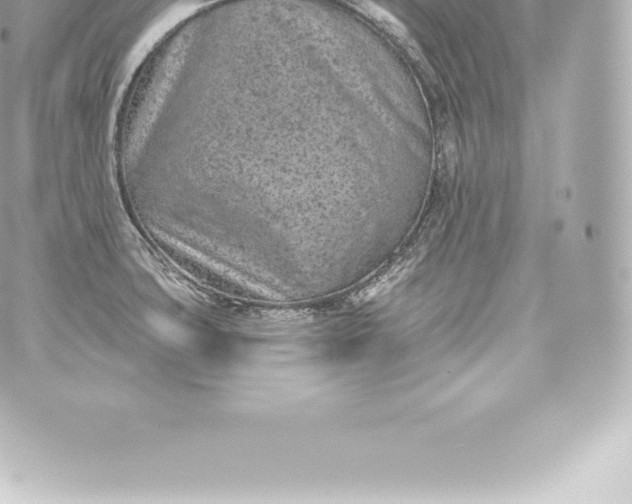 X0000060241427200511111918