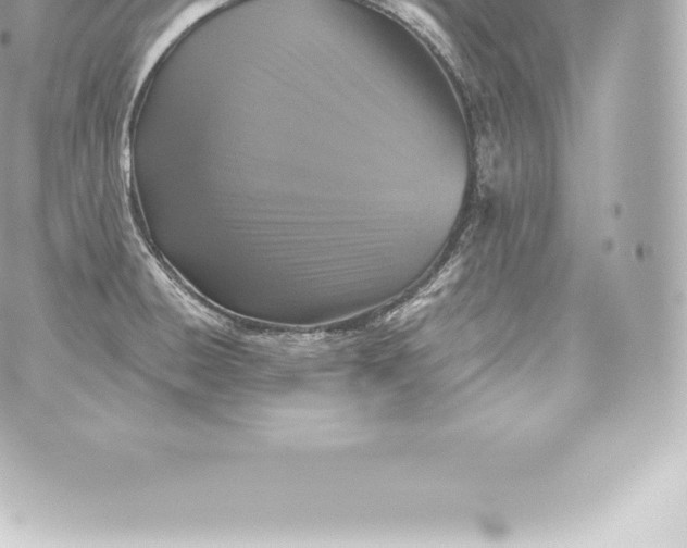 X0000060241428200511111918