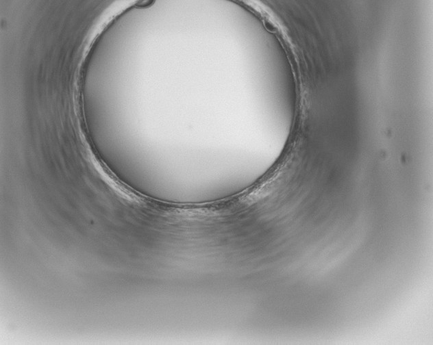 X0000060241429200511111918