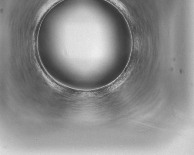 X0000060241430200511111918