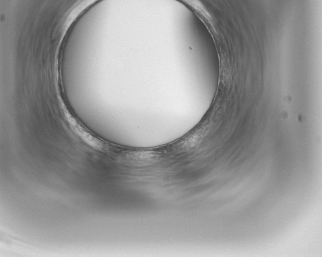 X0000060241431200511111918