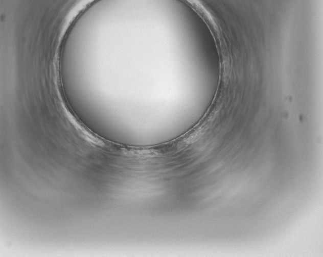 X0000060241432200511111918