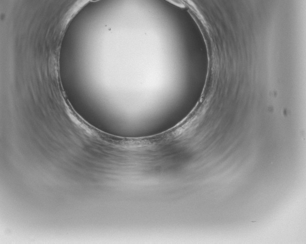 X0000060241433200511111918