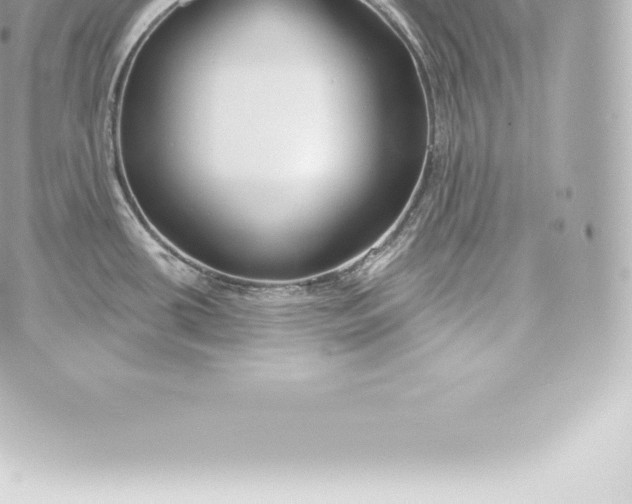 X0000060241434200511111918