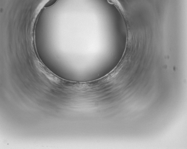 X0000060241435200511111918